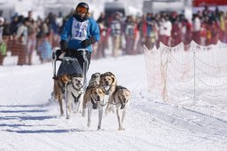 Lenk 2013